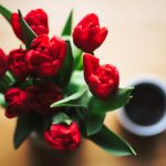 CCTV5体育现场直播:热血赛事即刻开启,精彩不容错过! 2j44ew