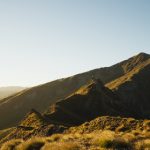 贵族平台与传统社交平台的区别与优势分析 a0mjesrf