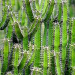 CCTV5体育赛事高清直播在线免费观看无需插件 co96gd36p