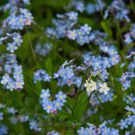 CCTV5亚冠联赛焦点战今晚直播不容错过 lk6925i