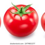 CCTV5今日赛事在线直播完整回放合集 vf4py5