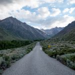 贝博betball网页全面功能解析与使用体验提升指南 y919u