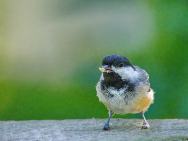《昆仑决》赵文卓直播首秀引爆全网热议 《昆仑决》赵文卓直播首秀引爆全网热议
