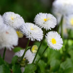 《星际争霸》经典战役高清直播震撼来袭 404v6p