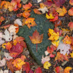 《星际争霸》全球总决赛巅峰对决震撼直播 8748tmesa