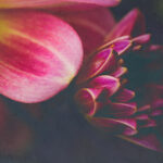 《极限挑战3》电视直播精彩对决不容错过 xlb1d